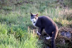 def3d602-9a05-4fad-af49-44e7b941cab8