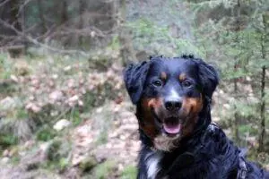 df93fbea-4095-470b-89ae-6868eec1a9ad