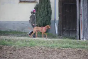 e467b09a-3db4-44e0-9f70-e65137e9befa