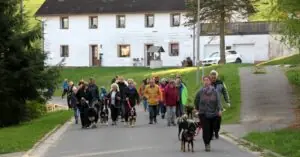 e88f7cdd-694d-406a-a42c-6cb4e3a066c5