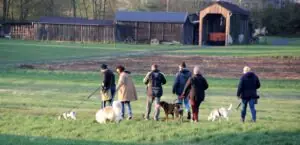 e9a799d3-cbfb-462f-bb05-15f28b19f327