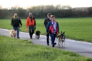 fc9767a6-c939-46df-99c1-385d67d569d7