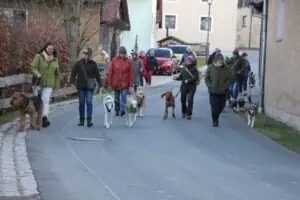 fdc820ca-a8d6-4bcc-a3e9-835d19bd36a5