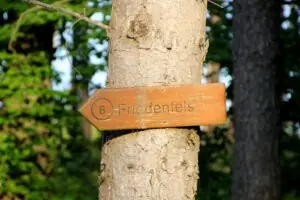 00cf3645-b7b6-4175-8e15-6d525dd2e5e3