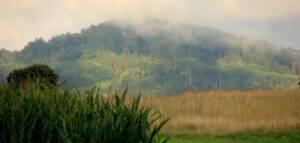 a25ca097-092e-4237-8bcf-fa5901341827